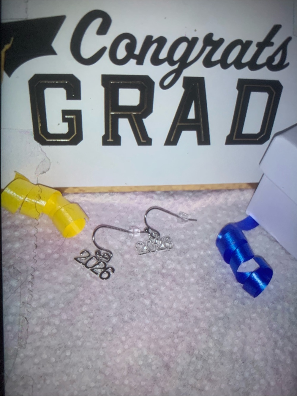 Elegant Silver 2026 Graduate Dangle Earrings Stainless Earwires with backs NEW